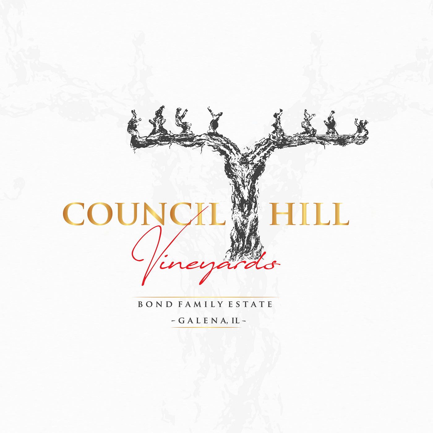 A logo for Council Hill Vineyards.
