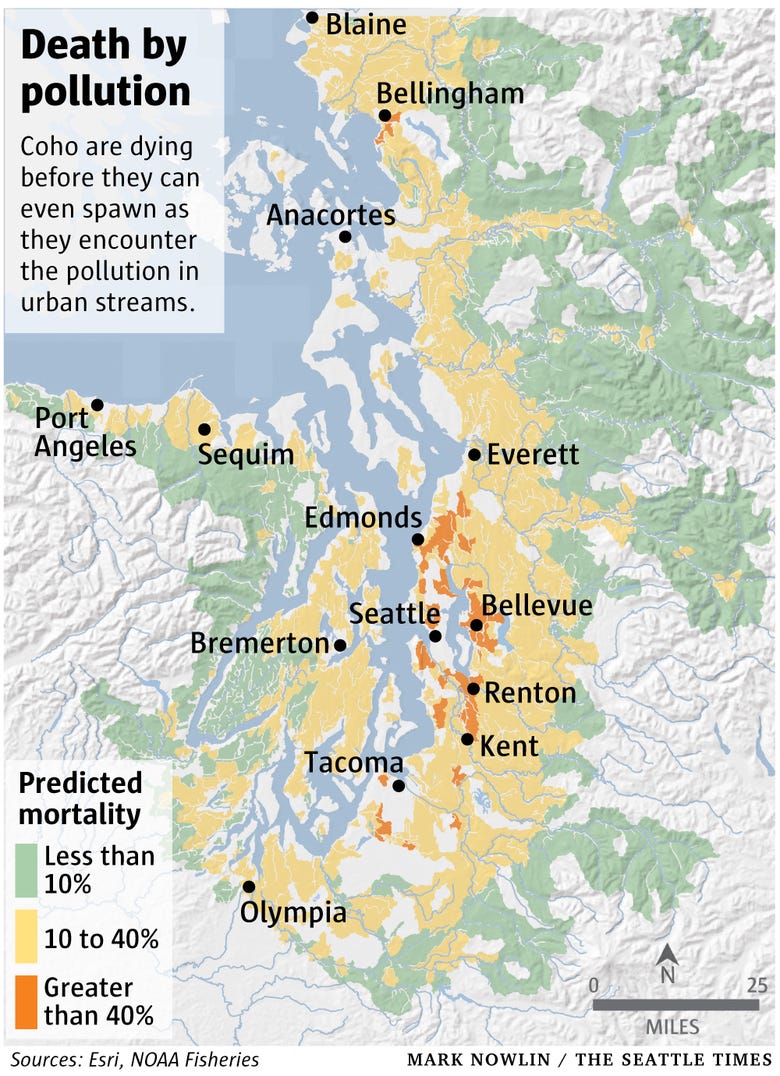 Puget Sound Water Quality Map How Does Water Quality Impact The Salmon In The Puget Sound? | By Daisy K  Higgins | Medium