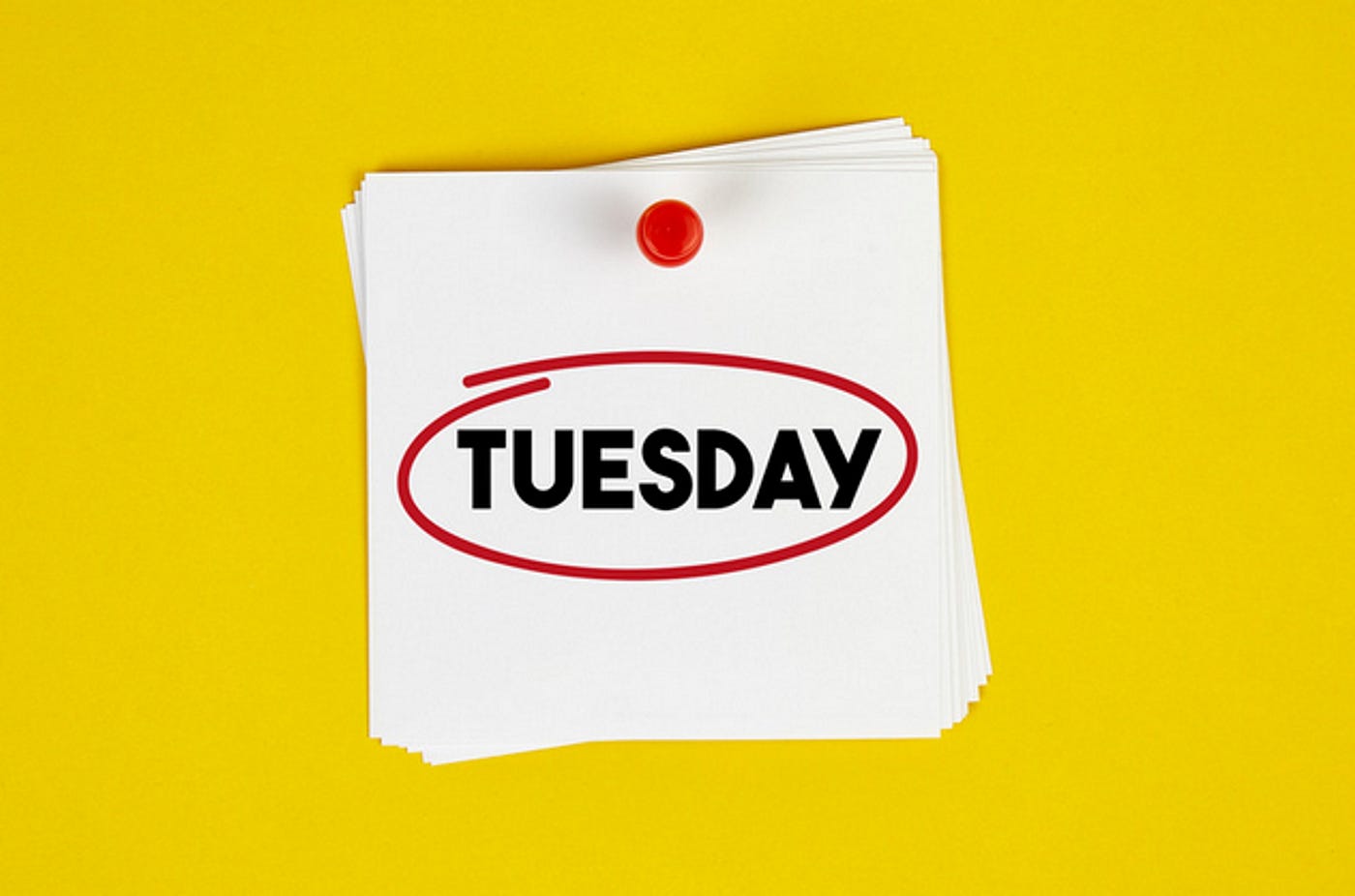 Tuesday update