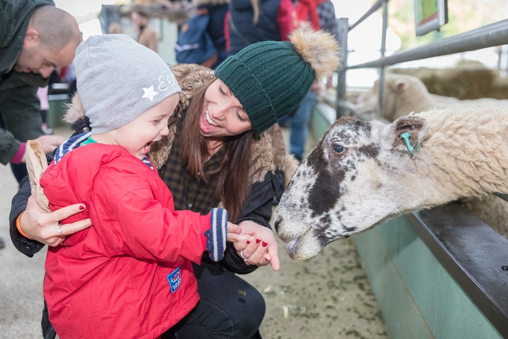 60 Second Chat With…. Bocketts Farm by Outdoorsy Kids Medium