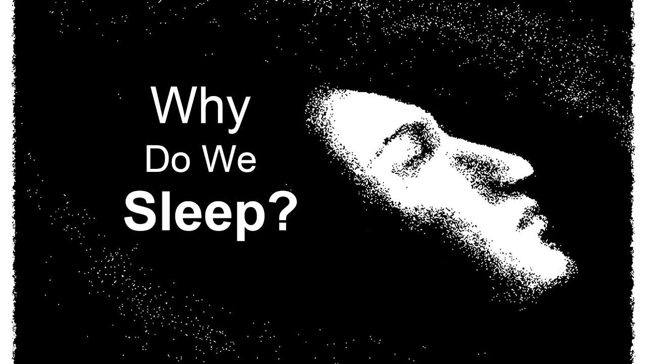 Why do we sleep?. Why our bodies need to “restart”, what… by Borislav