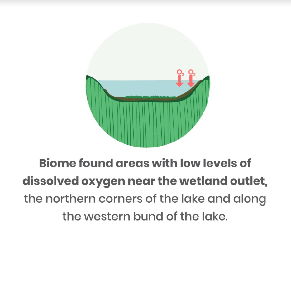 Citizen Science Testing waters at Jakkur lake by Centre for Social