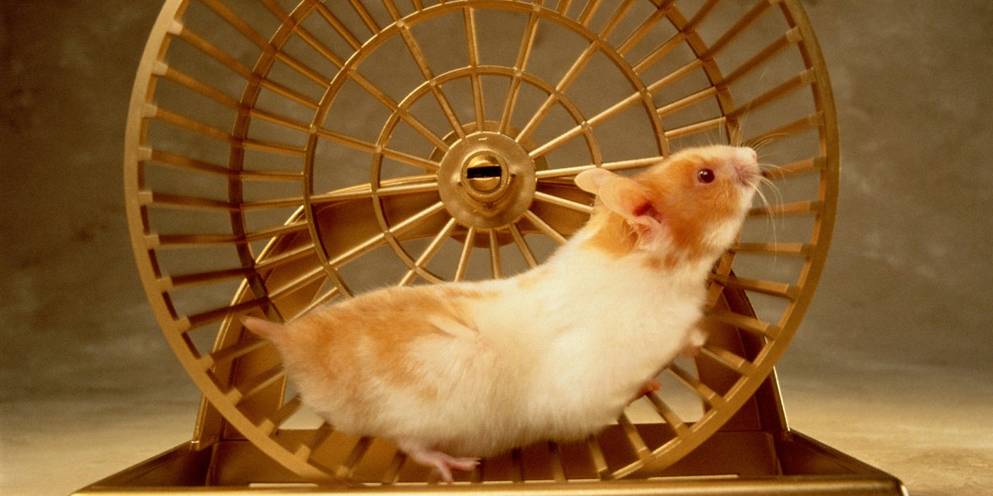 The Hamster Wheel of Job Interviews.