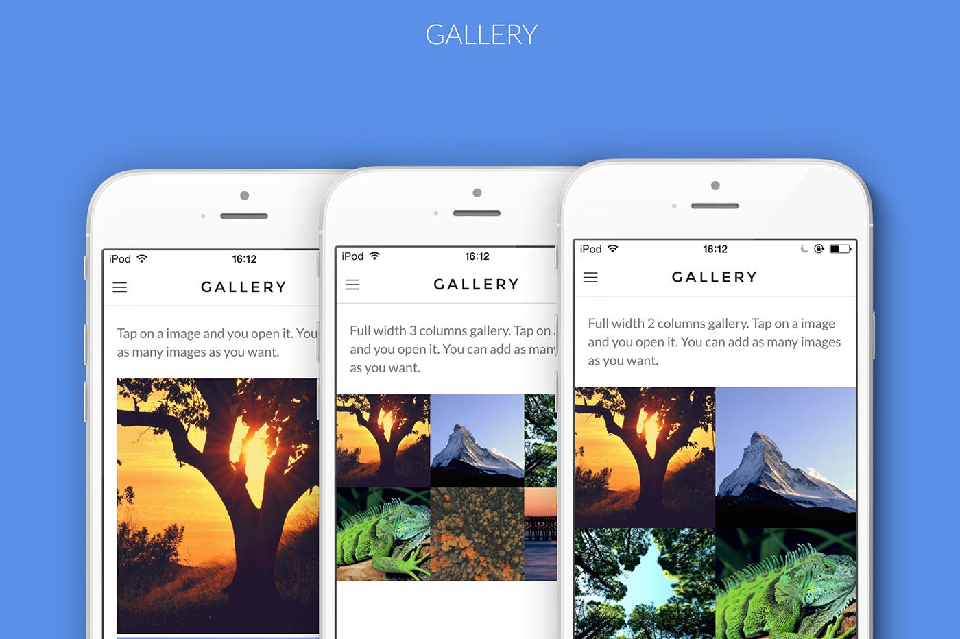 Our favorite UI kits, themes, fonts and templates from The Hungry JPEG | by  Ieva Andriuleviciute | The Iconfinder Blog | Medium