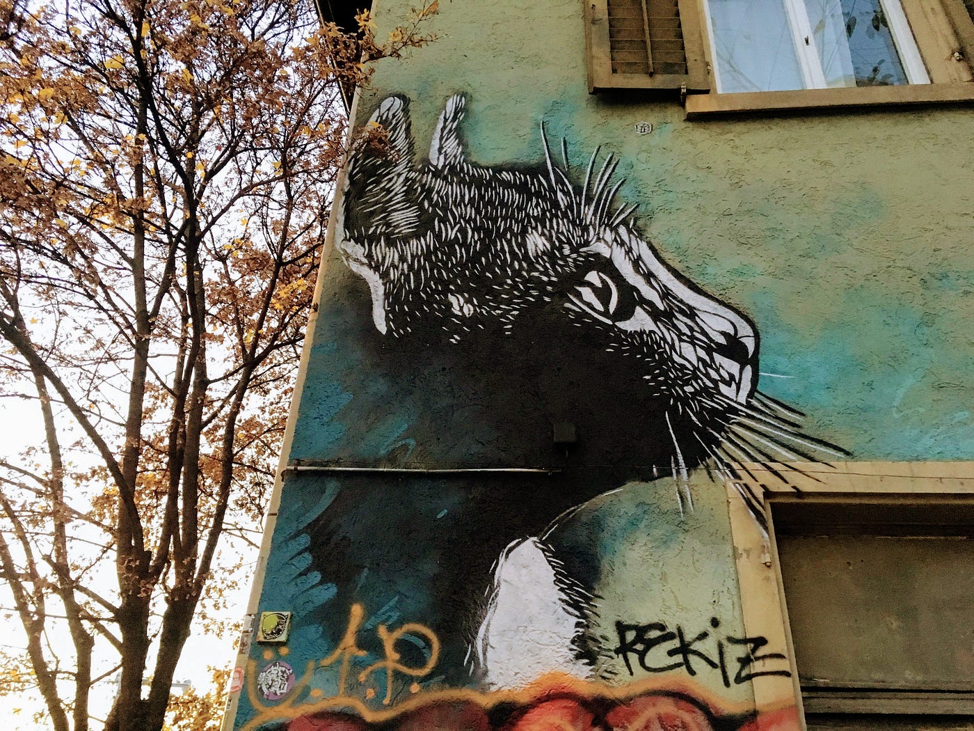 Zurich Street Art. If you think that urban art in Zurich… | by Dmitry  Laptev | Medium