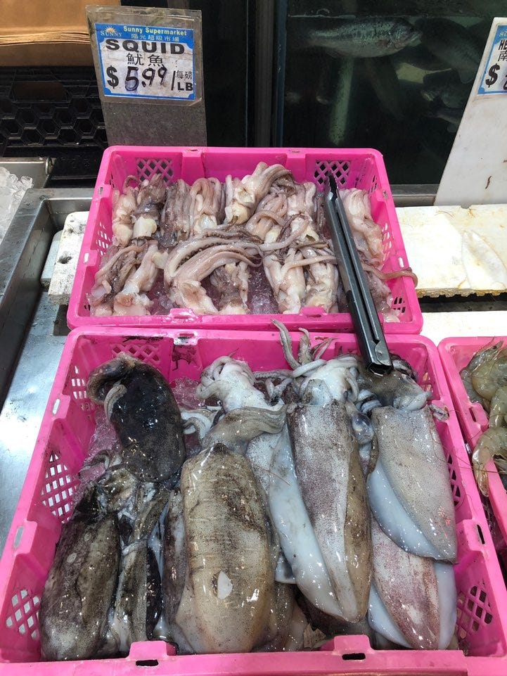 Let’s learn about squid🦑. Have you actually seen the whole squid… | by