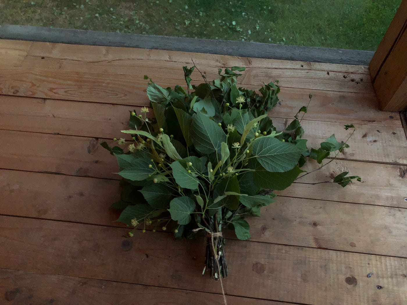How to make a viht (those branches we beat ourselves with in the sauna ...