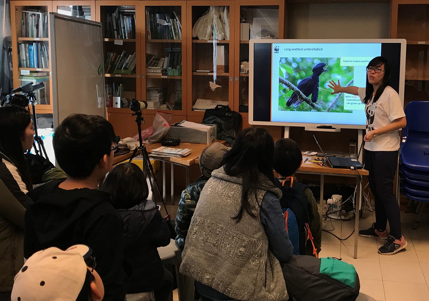 小小鳥類學家多多假日收穫 By Matt By Wwf Hk Wwf 熊貓會blog Medium