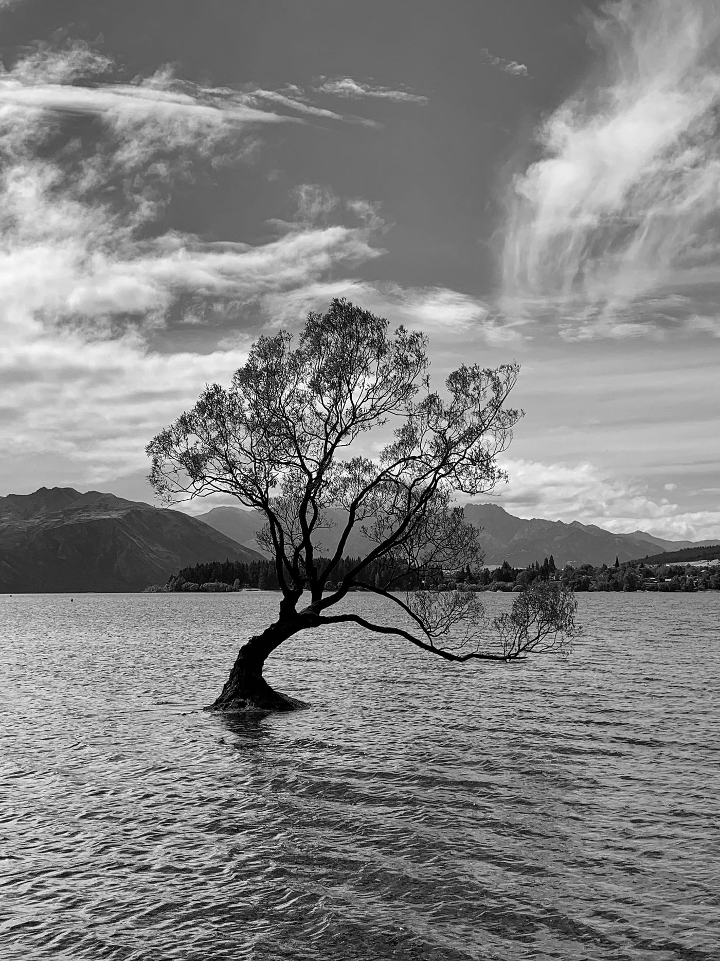 Wanaka Gin. As we veered onto the Crown Range Road… by Brian Jarmon