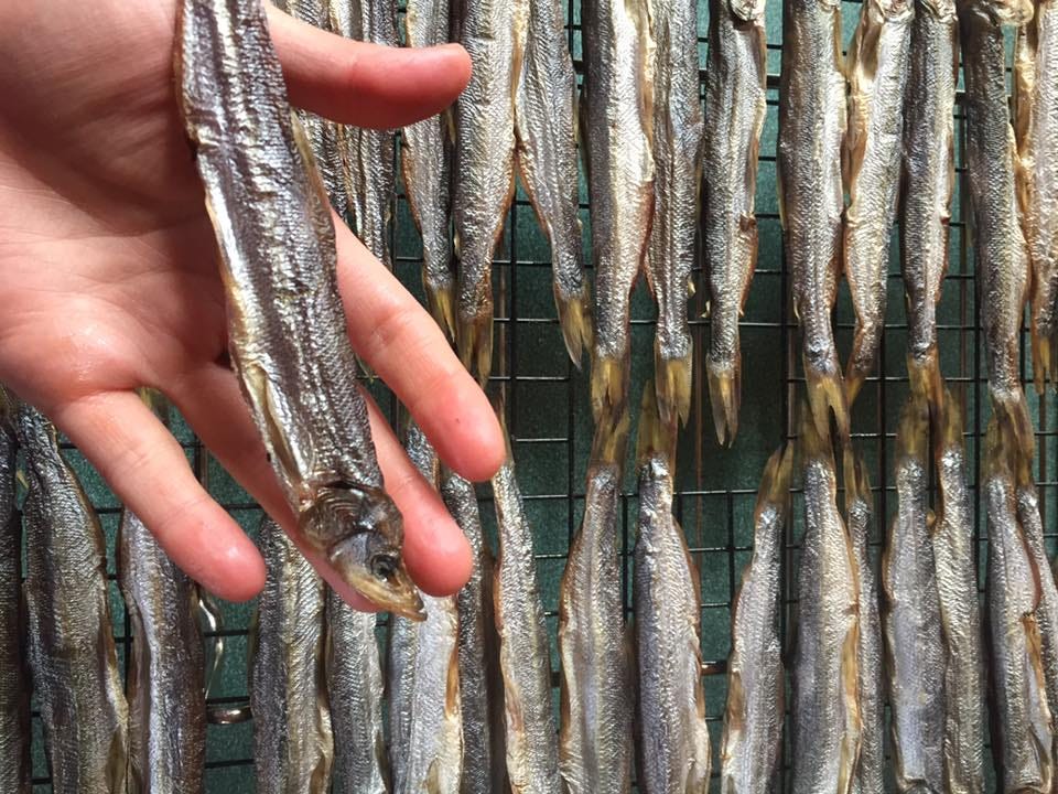 little fish drying on a rack