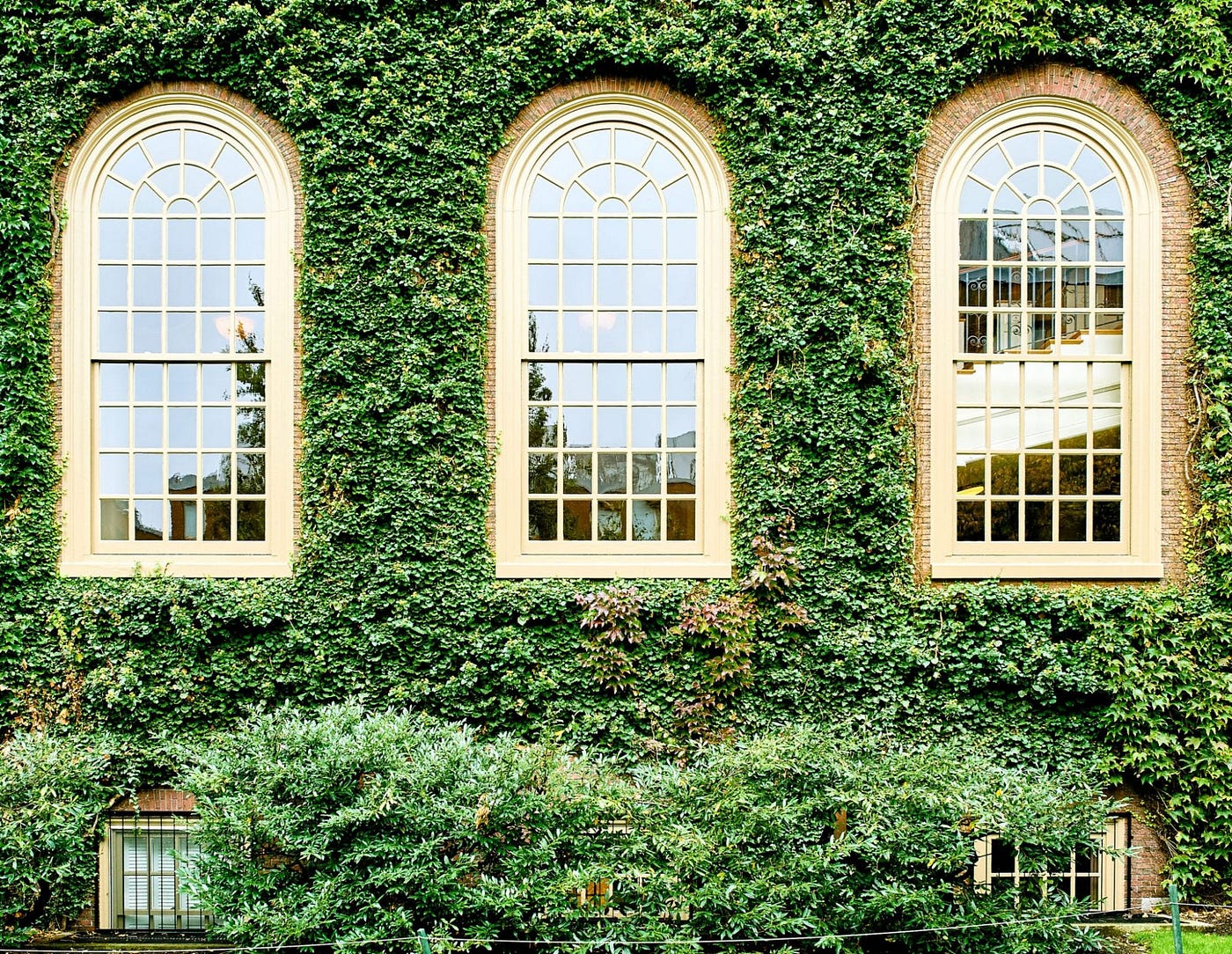 Why An Ivy League Degree Is Worth It At Virtually Any Cost By 
