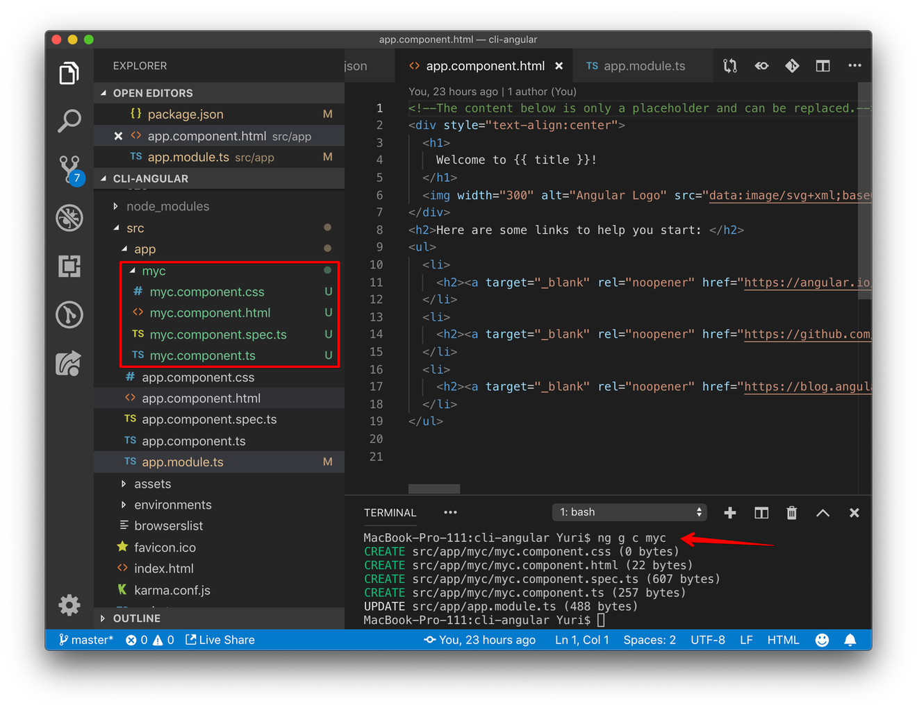 Useful command of Angular CLI. What command you need to use in Angular ...