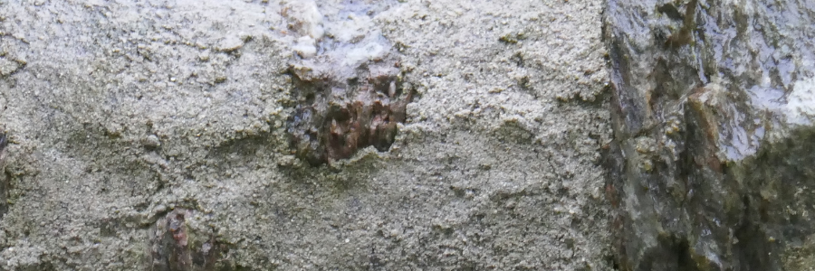 Rock embedded in concrete.