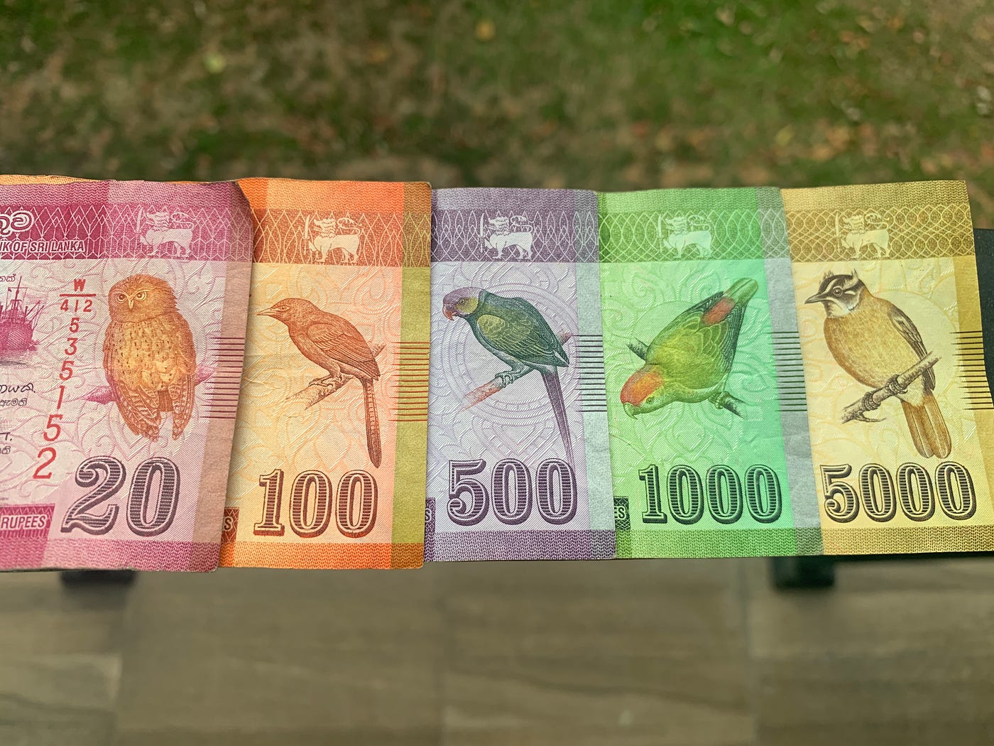 Sri Lanka S Money Has Birds All Over It By Shawn Forno The Bigger Picture Medium Sri Lanka S Money Has Birds All Over It By Shawn Forno The Bigger Picture Medium