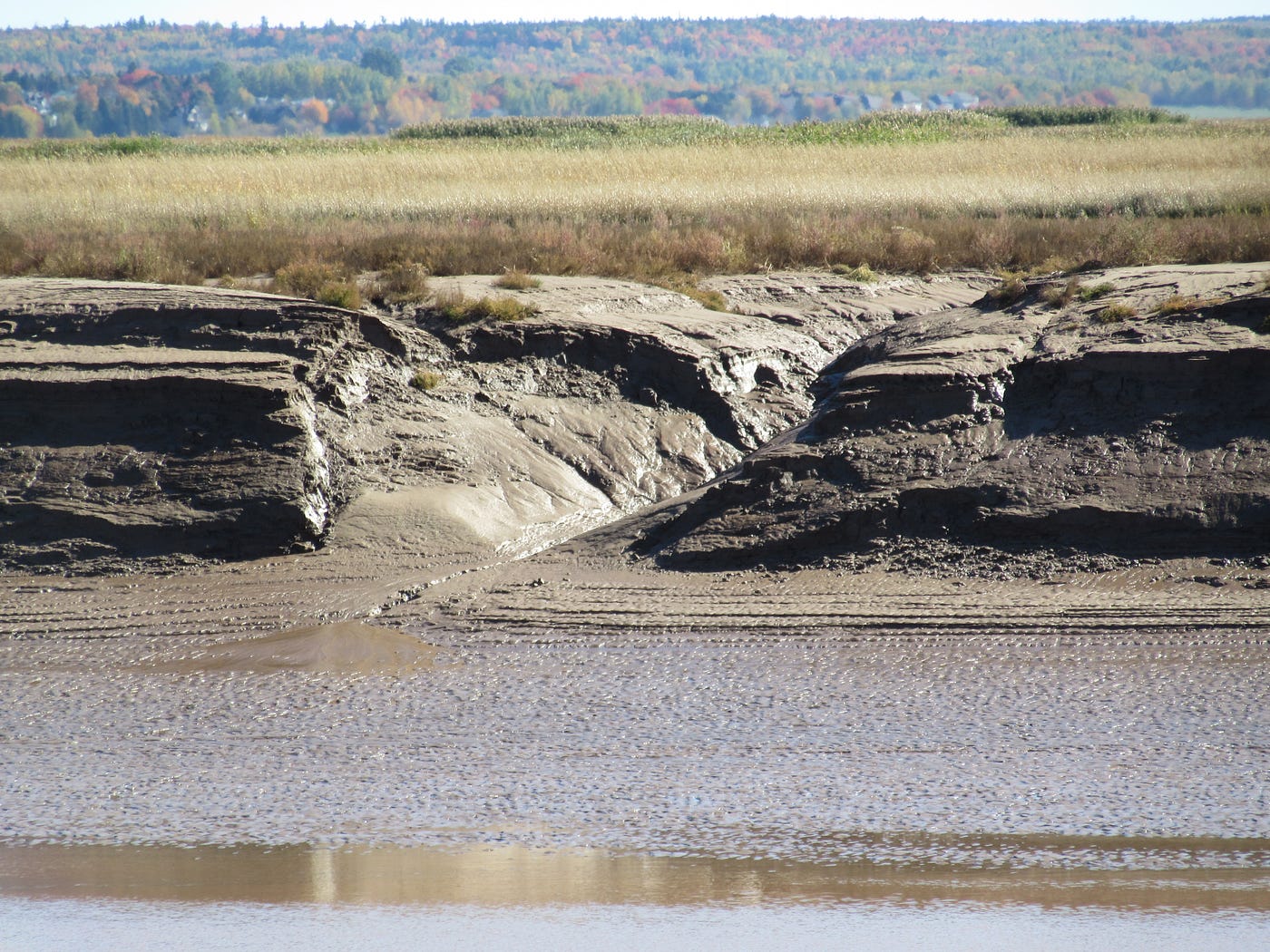 The Petitcodiac River and the Tidal Bore by Lynn McEachern Medium