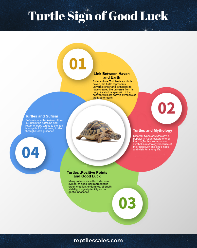 Turtle Sign of Good Luck. The Tortoise is a sign of good luck… by