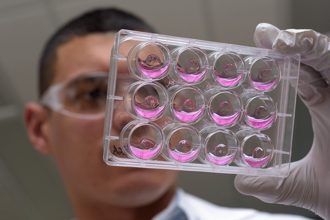 Stem Cell Hydrogel Heals Aging Muscles By StemSave Inc Medium