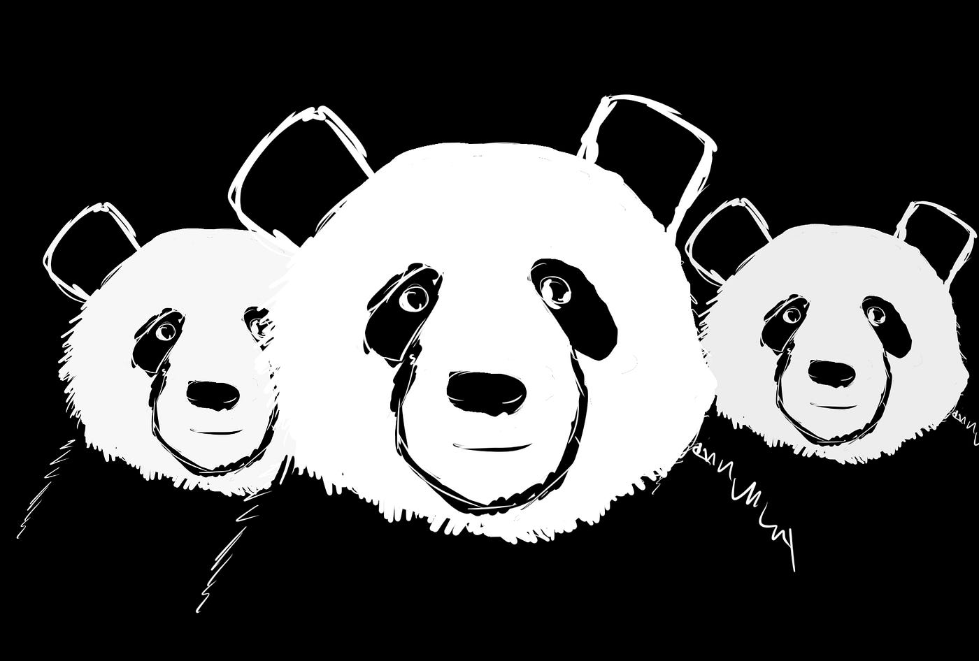 Python Pandas Basics. With Pandas ? | by Keno Leon | Medium