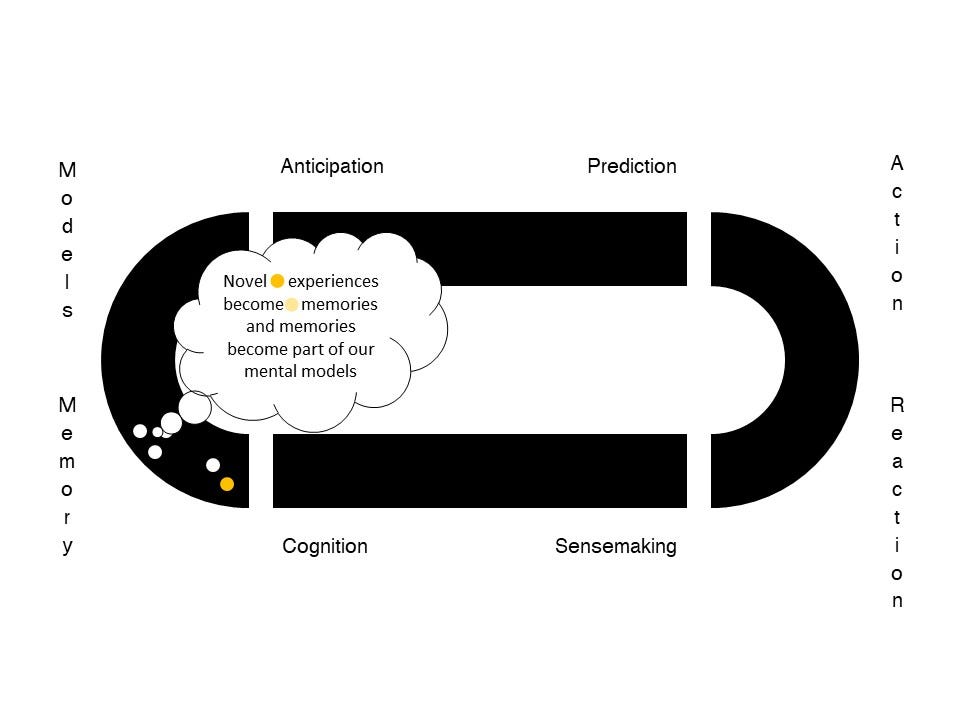 Memory: Novel experiences become memories and become part of out mental models