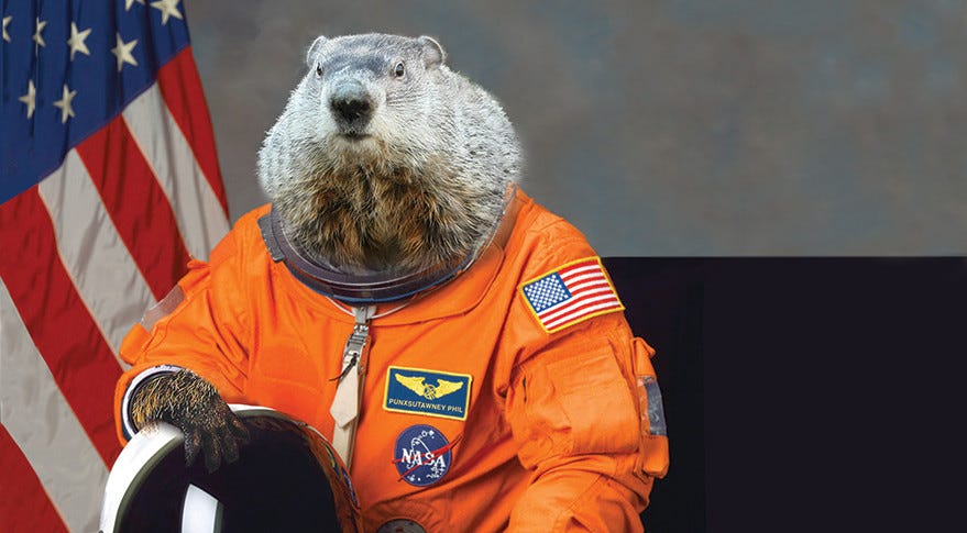 An astrounout groundhog wearing a space suit by NASA