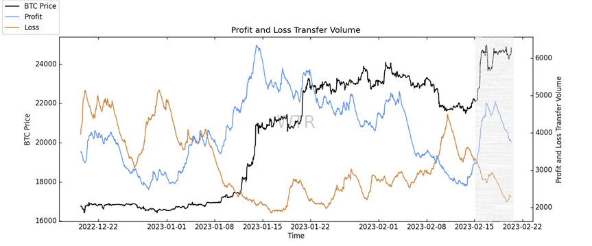温茶煮酒，醉卧蓬莱｜WTR 2.20