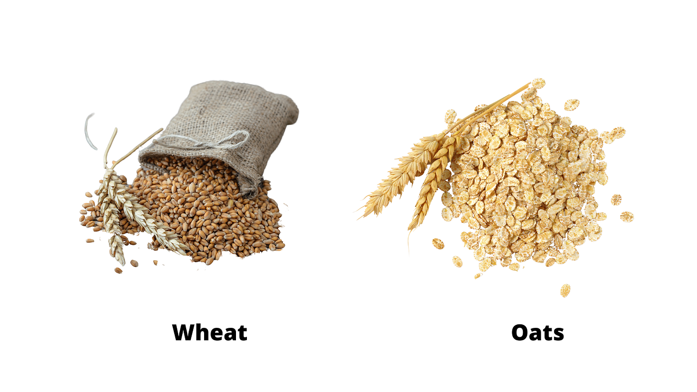 Oats vs Wheat. Do oats come from wheat? by Wahyuni Sapri Coffee