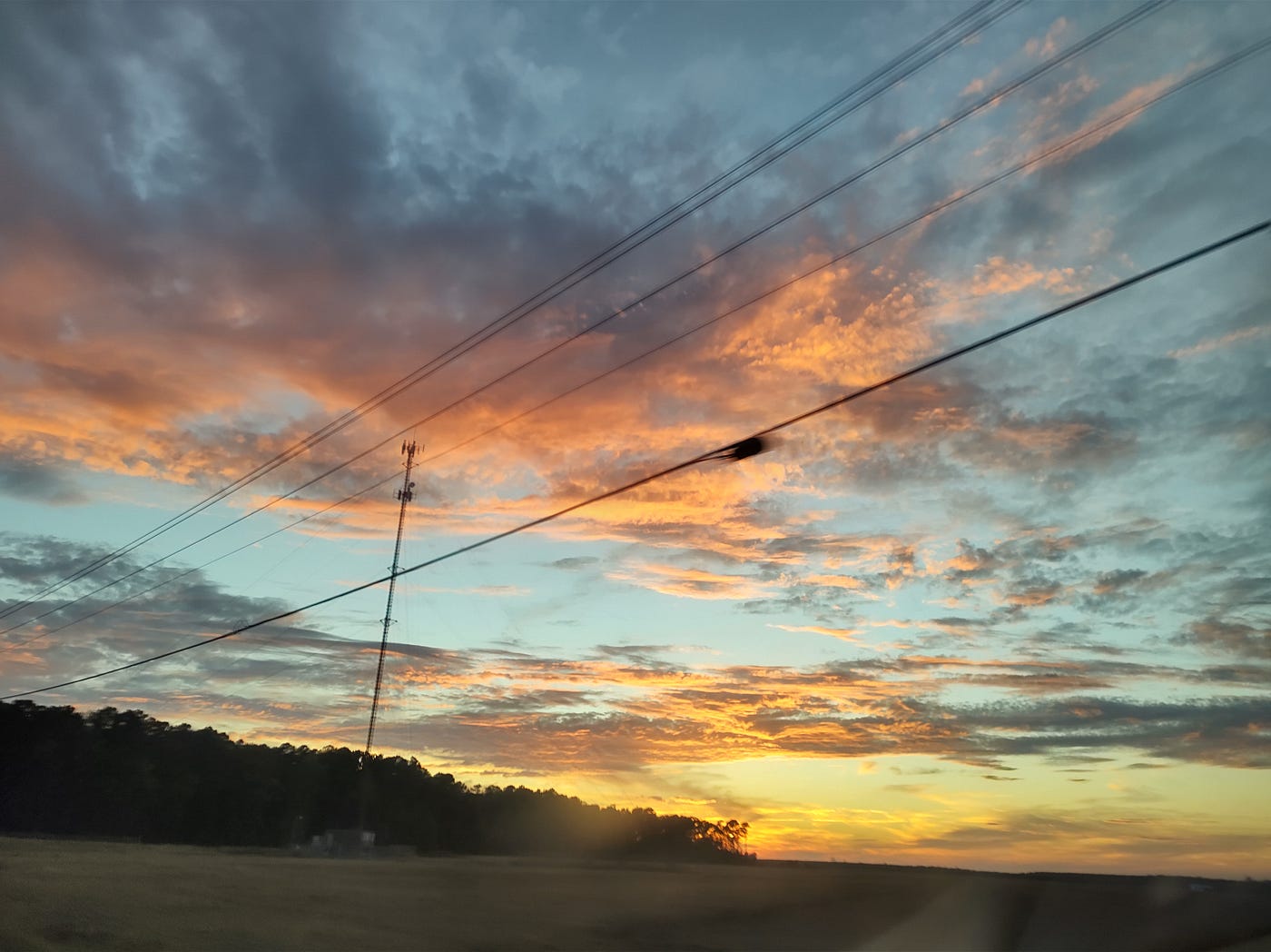 Triangle Land Conservancy Challenge by Zachary Jones Medium