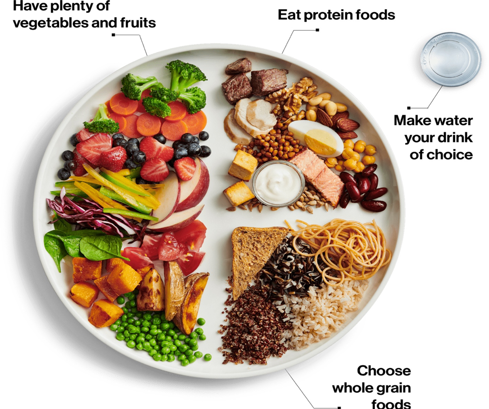Picture Perfect Nutrition in 5 Minutes: Food Plates to Use | by Joel Kahn |  Medium