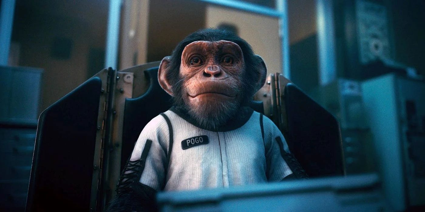 The Real Primates Behind the Story of Pogo in ‘The Umbrella Academy’ by Arabella Breck Tenderly