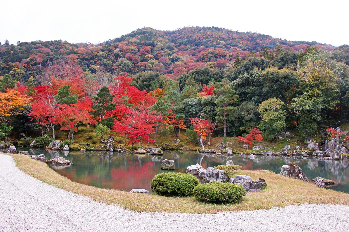 楓紅又幾時 後醍醐天皇的嵐山天龍寺 枯枝低垂 紅葉點綴 深秋的天龍寺庭園 樸拙裡添了幾筆鮮豔 平靜的曹源池 暈染了倒 By 歐柏昇 Medium