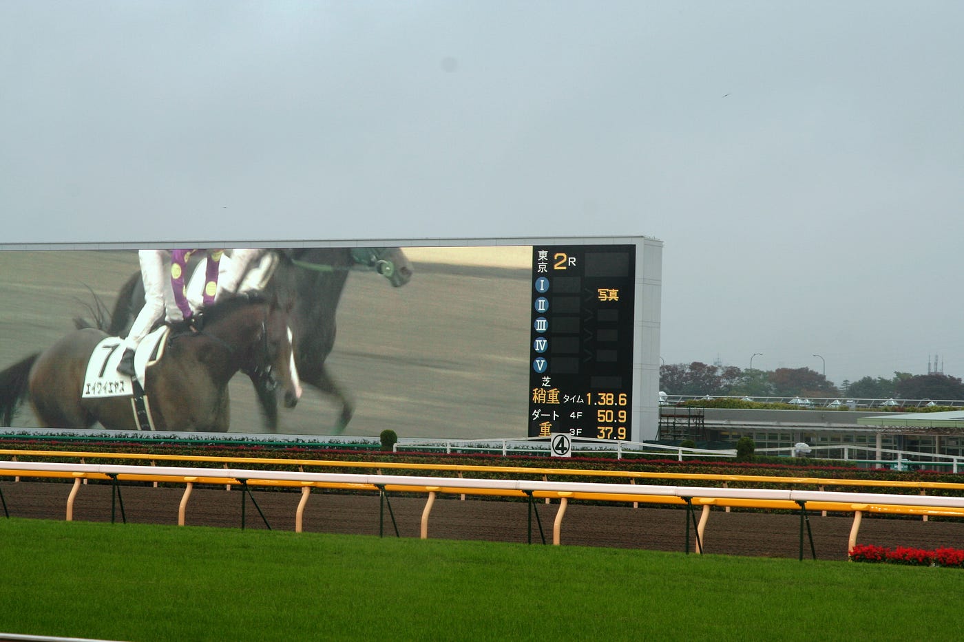 東京競馬場 誰說馬場兒童不宜 By 日本村姑 Medium