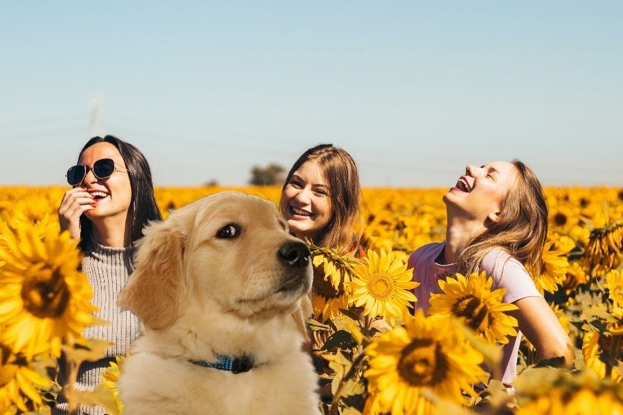 Dog looking quizzically in front of three white women