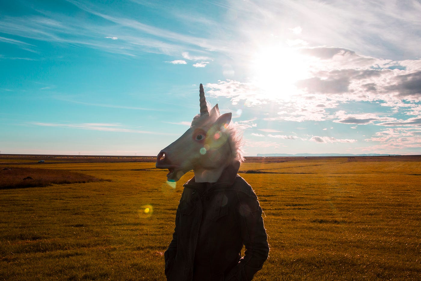 A man wearing a unicorn mask standing in a sunny field.