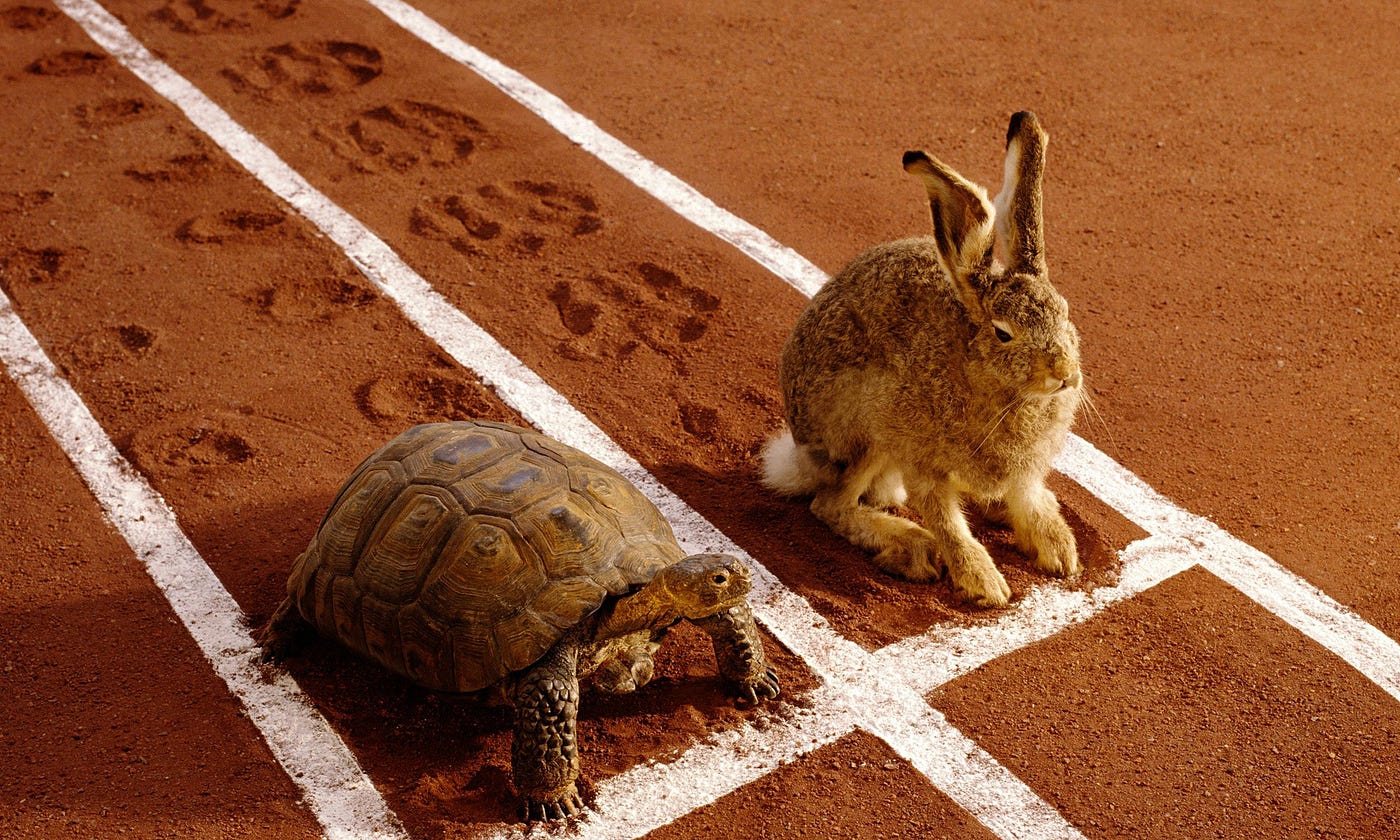 How long could the hare sleep and still win the race against the tortoise? | by Krist Wongsuphasawat | Medium