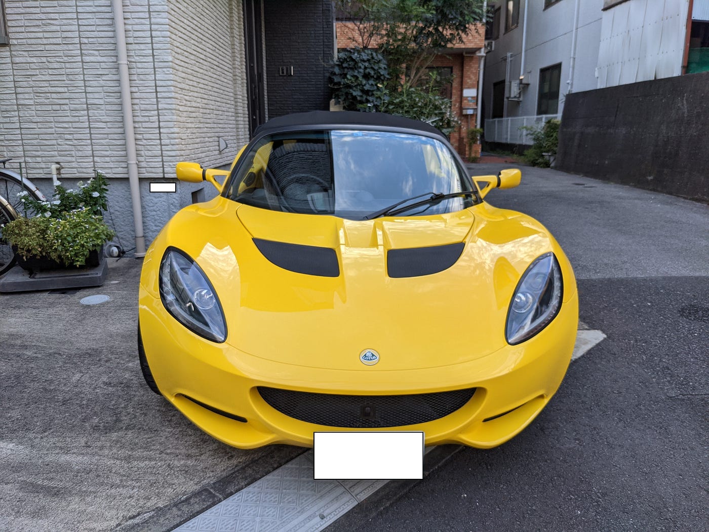 Shimane Yoshikazu Medium