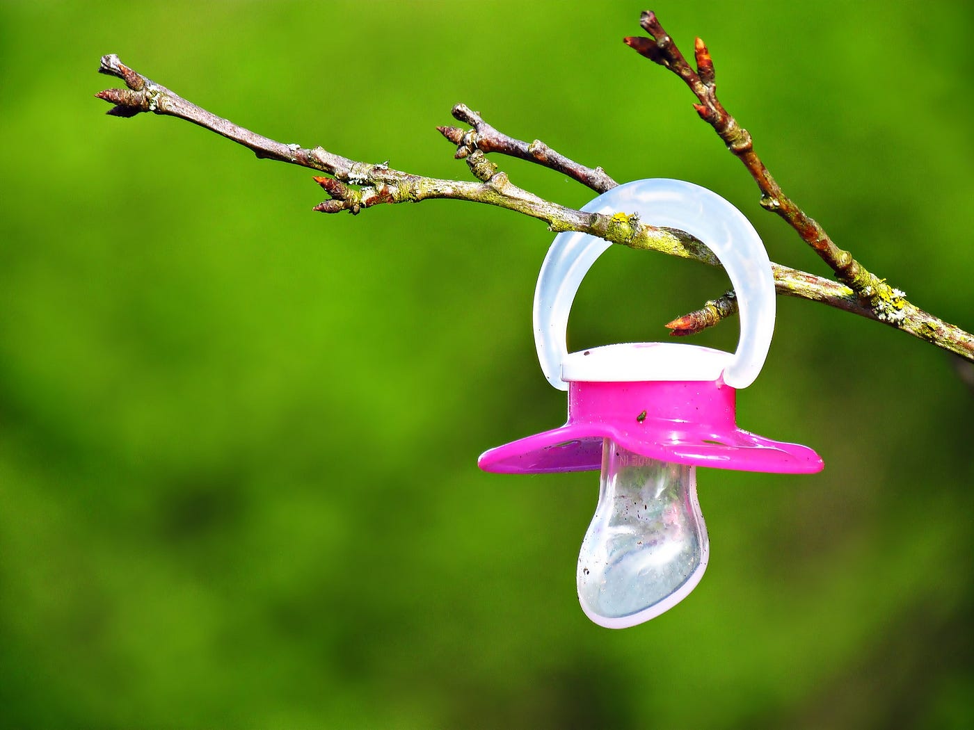 The Binky on the Branch. An Ode to the Pacifier Called… by Jenine