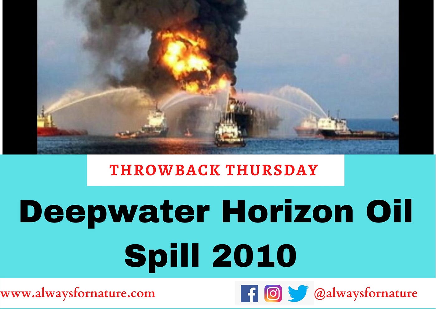 Deepwater Horizon Oil Spill 2010. Considered the largest accidental… | by Alwaysfornature | Medium