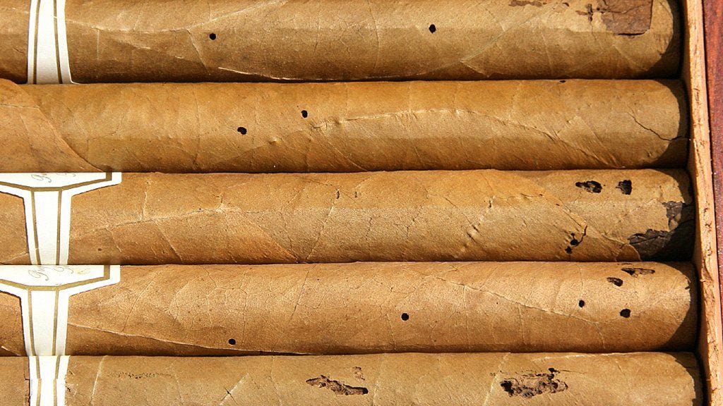 Cigars 101 — A guide to better cigar storage | by All Things Cigars | Medium
