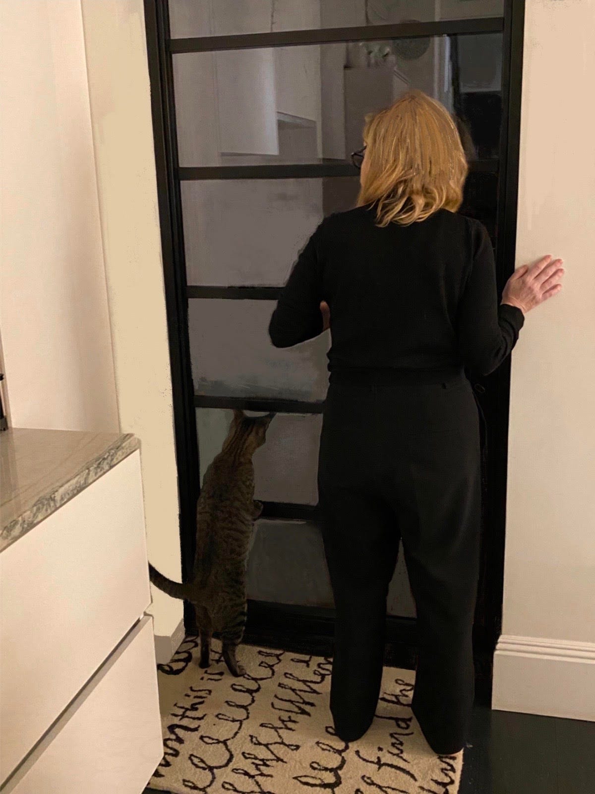 Some Notes On Cats Observations From Someone Who Will By Roxane Gay Gay Mag Some Notes On Cats Observations From Someone Who Will By Roxane Gay Gay Mag