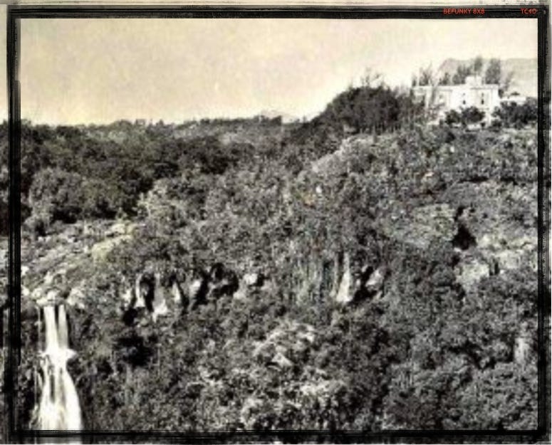 Romancing the Joe How Coffee Got Its Nickname by Nicol Valentin Medium