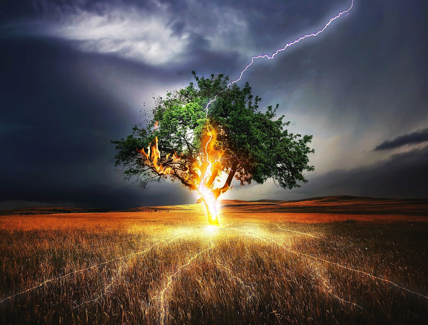 Lightning strikes a tree, lighting it up with fire.