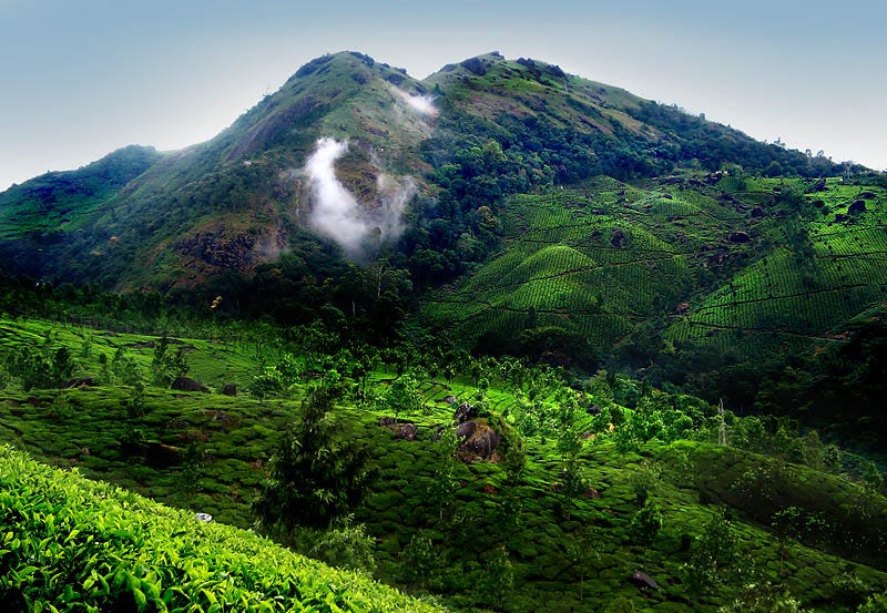 Kerala — Paradise With Beauty Of Nature by Gogeo Holidays Medium