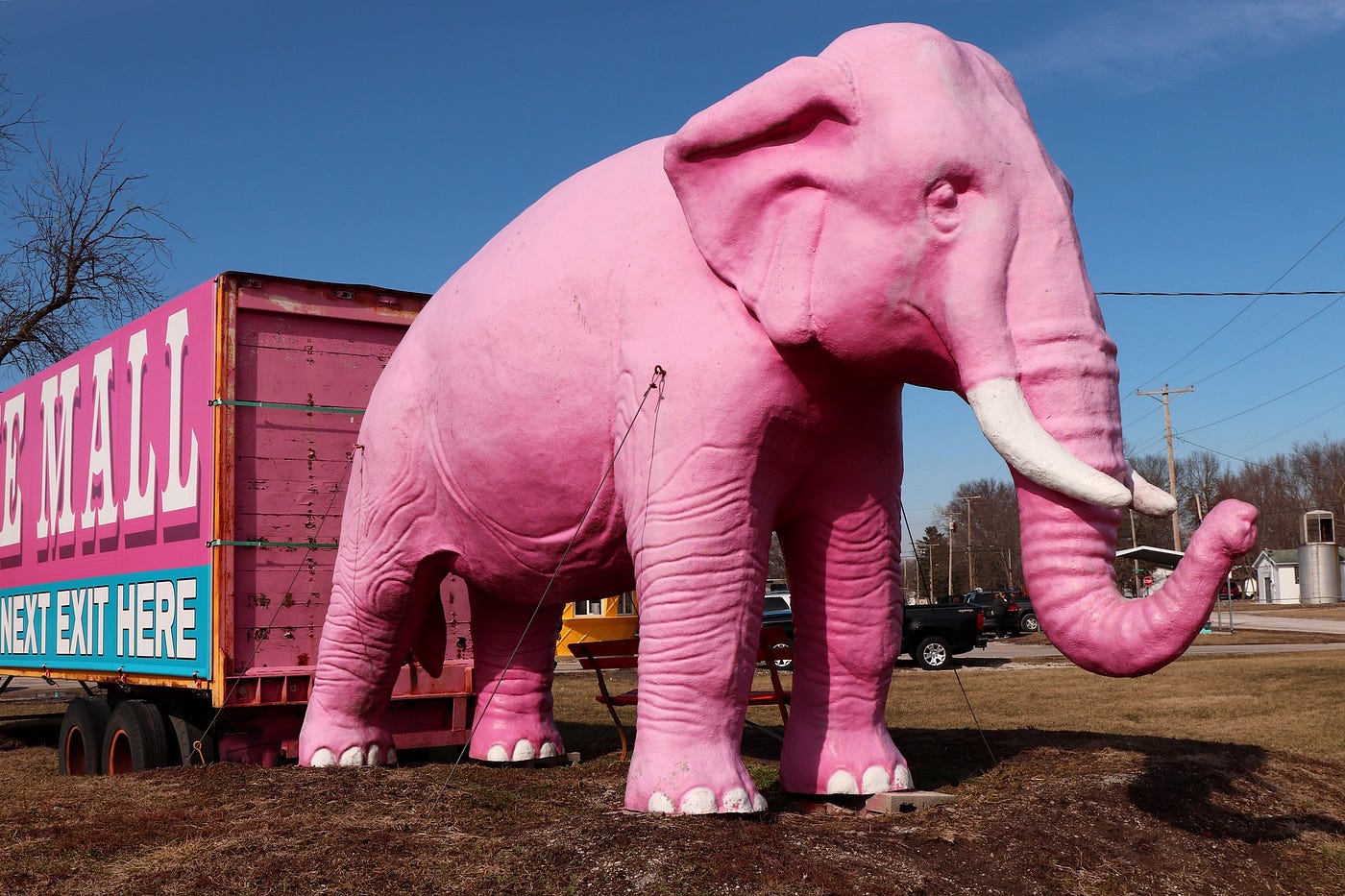 A pink elephant stands in front of a large container under the open bright skies