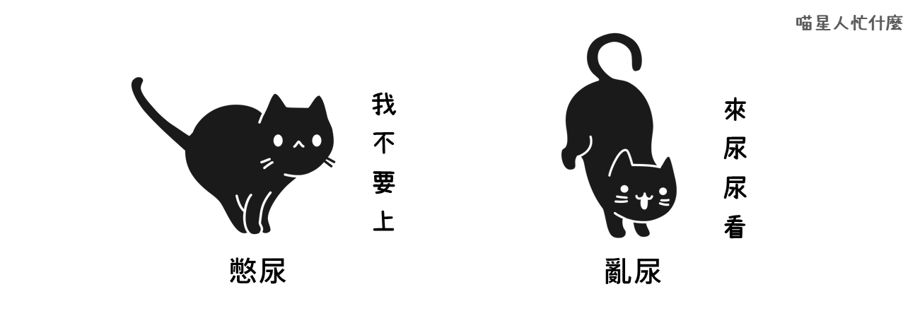 如何正確擺放貓砂盆. 貓咪總是亂尿尿怎麼辦？貓砂盆這樣擺解決70%的 