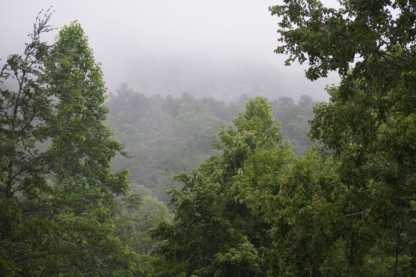 A Rainy Night in And it Seems Like It’s Raining All Over… by