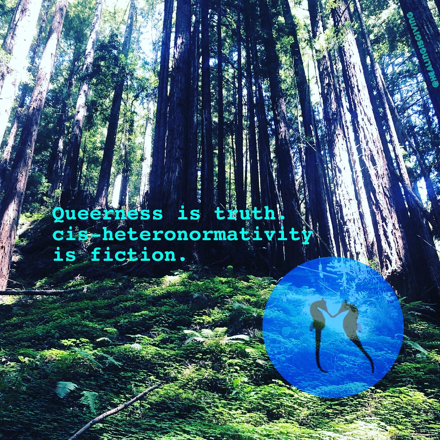 redwood forest, clover field, two seahorses facing eachother in a blue orb