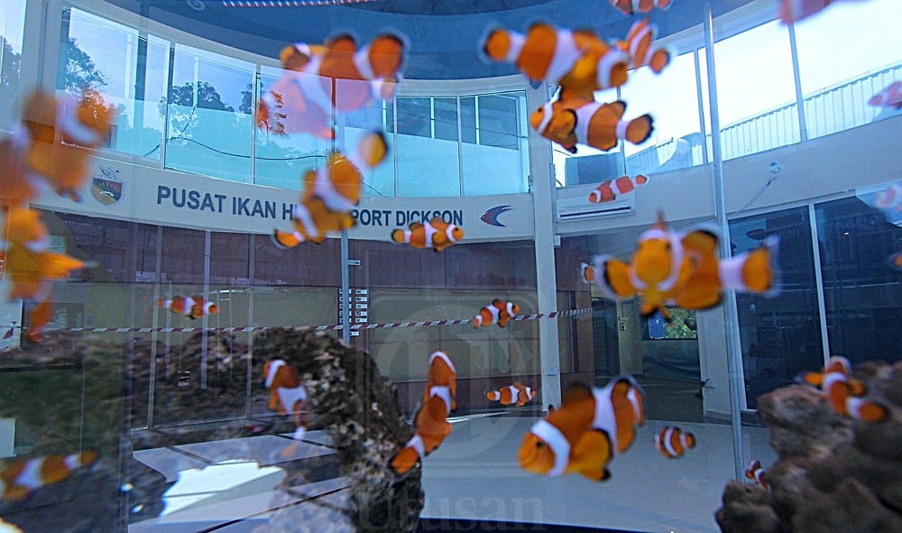 Interesting Place To Visit At Port Dickson By P1 Sto Medium