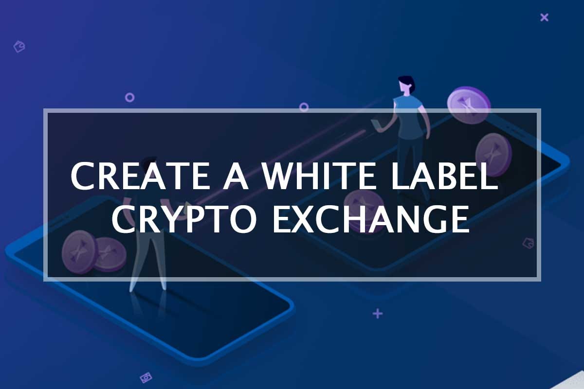 White label crypto exchange script eth classic pool