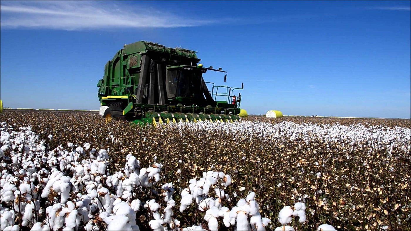 Cotton Picking Machine| Cotton Harvester | by Faith Green | Medium