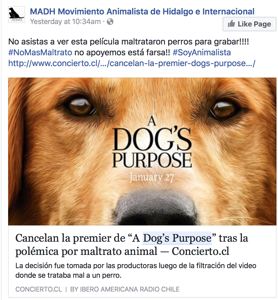 El Furor Del Maltrato Animal En El Set De A Dog s Purpose By Daniela 